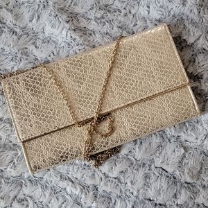 Metallic snake skin ckutch